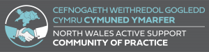 North Wales Active Support Community of Practice